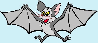 Zur Fledermaus