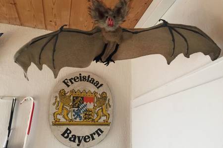Dorfenstr. 3, Fledermaus