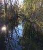 Fluss Dorfen