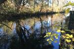 Fluss Dorfen